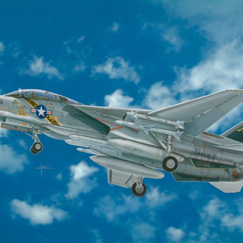 2667 – F – 14 A TOMCAT