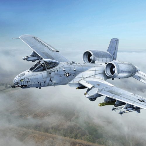 2725 – A – 10C ”Blacksnakes”