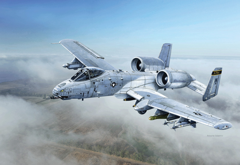 2725 - A - 10C ''Blacksnakes''