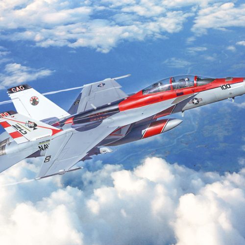 2823 – F/A-18F Super Hornet U.S. Navy Special Colors