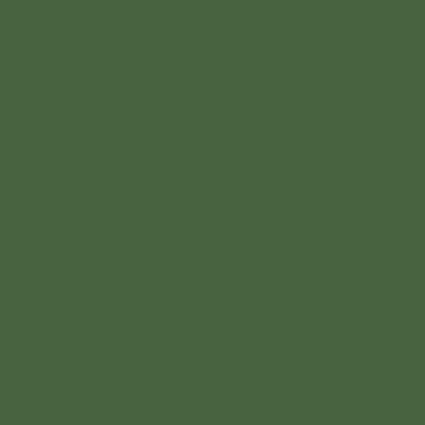 4734AP - F - Medium Green II - 4734AP - F.S. 34082 -20 ml - Imagem 2