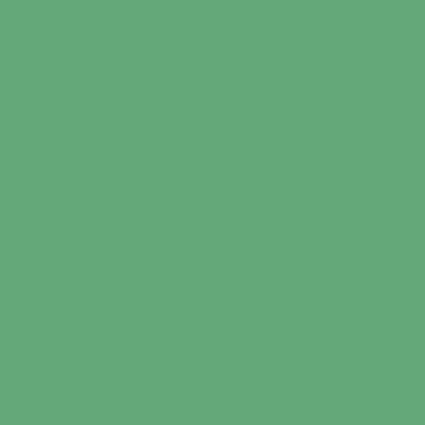 4739AP - F - Pale Green - 4739AP - F.S. 34272 -20 ml - Imagem 2