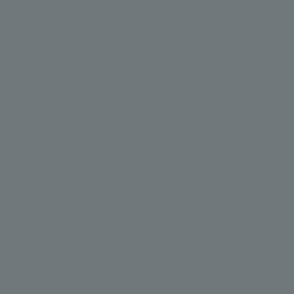 4746AP - F - Medium Gray - 4746AP - F.S. 36270 -20 ml - Imagem 2