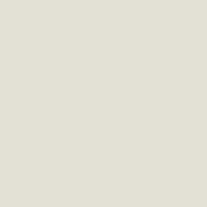 4763AP - F - Gull Gray - 4763AP - F.S. 36622 -20 ml - Imagem 2
