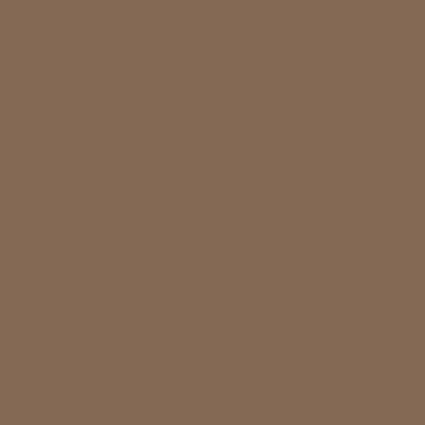 4846AP - NA - Dark Earth Ana 61 - 4846AP - F.S. 3014 -20 ml - Imagem 2